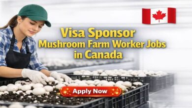 Visa Sponsor Mushroom Farm Worker Jobs in Canada