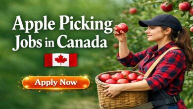 Apple Picking Jobs in Canada