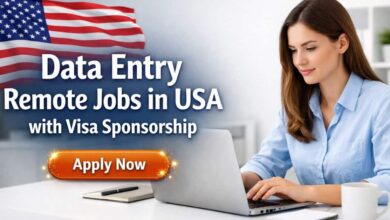 Data Entry Remote Jobs in USA with Visa Sponsorship
