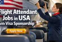 Flight Attendant Jobs in USA with Visa Sponsorship