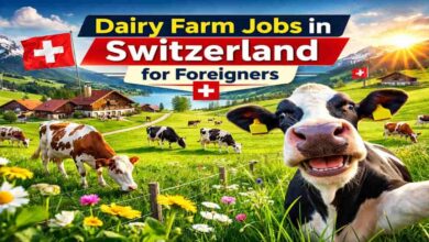 Dairy Farm Jobs in Switzerland for Foreigner