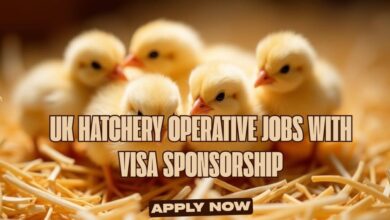 UK Hatchery Operative Jobs with Visa Sponsorship