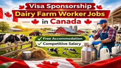 Visa Sponsorship Dairy Farm Worker Jobs in Canada