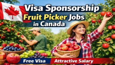 Visa Sponsorship Fruit Picker Jobs in Canada