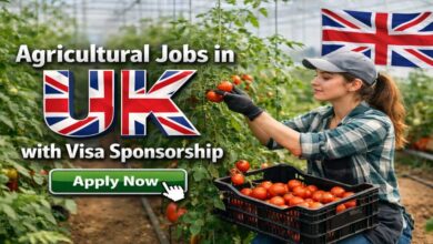 Agricultural Jobs in UK with Visa Sponsorship