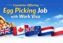 Countries Offering Egg Picking Job with Work Visa