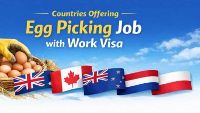 Countries Offering Egg Picking Job with Work Visa