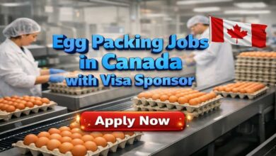 Egg Packing Jobs in Canada with Visa Sponsor