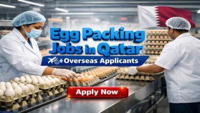 Egg Packing Jobs in Qatar for Overseas Applicants
