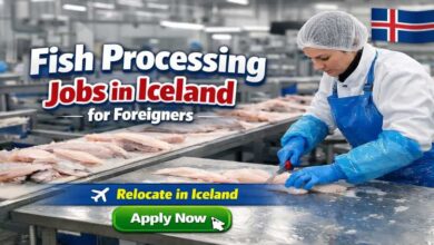 Fish Processing Jobs in Iceland for Foreigners