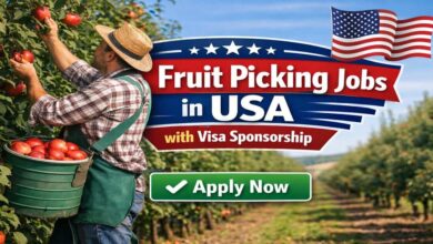 Fruit Picking Jobs in USA with Visa Sponsorship
