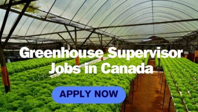 Greenhouse Supervisor Jobs in Canada