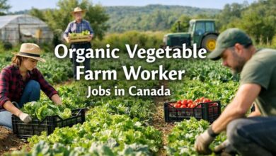 Organic Vegetable Farm Worker Jobs in Canada