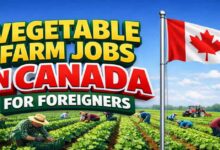 Vegetable Farm Jobs in Canada For Foreigners