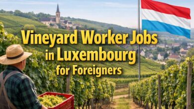 Vineyard Worker Jobs in Luxembourg for Foreigners