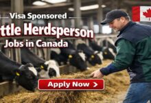 Visa Sponsored Cattle Herdsperson Jobs in Canada