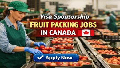 Visa Sponsorship Fruit Packing Jobs in Canada