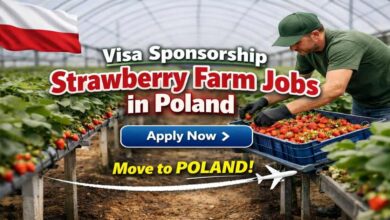 Visa Sponsorship Strawberry Farm Jobs in Poland