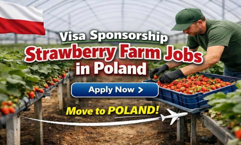 Visa Sponsorship Strawberry Farm Jobs in Poland