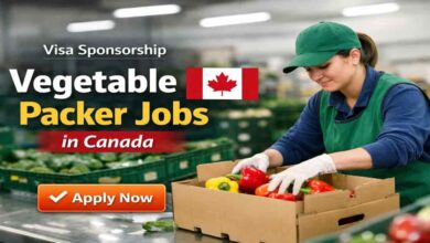 Visa Sponsorship Vegetable Packer Jobs in Canada
