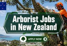 Arborist Jobs in New Zealand