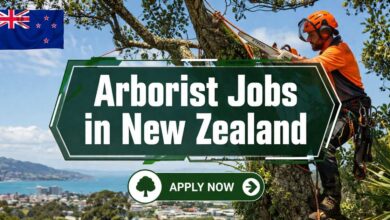 Arborist Jobs in New Zealand