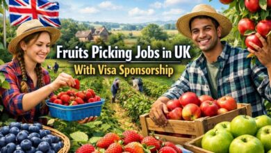 Fruits Picking Jobs in UK with Visa Sponsorship