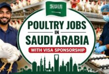 Poultry Jobs in Saudi Arabia with Visa Sponsorship