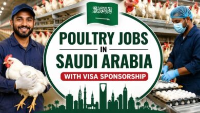 Poultry Jobs in Saudi Arabia with Visa Sponsorship