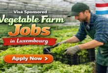 Visa Sponsored Vegetable Farm Jobs in Luxembourg