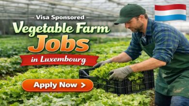 Visa Sponsored Vegetable Farm Jobs in Luxembourg