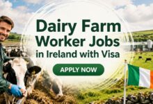 Dairy Farm Worker Jobs in Ireland with Visa