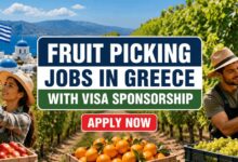 Fruit Picking Jobs in Greece with Visa Sponsorship