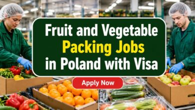 Fruit and Vegetable Packing Jobs in Poland with Visa