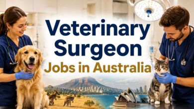 Veterinary Surgeon Jobs in Australia